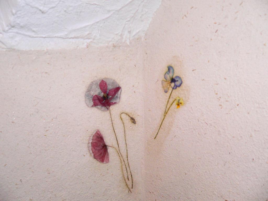 Chambres et Gîte Pollen Granier Extérieur photo